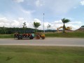 Tn DSC 6652